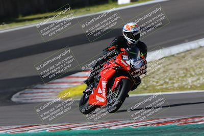 media/Mar-17-2024-Fastrack Riders (Sun) [[c7d6f8c14c]]/Level 2/Turn 6/